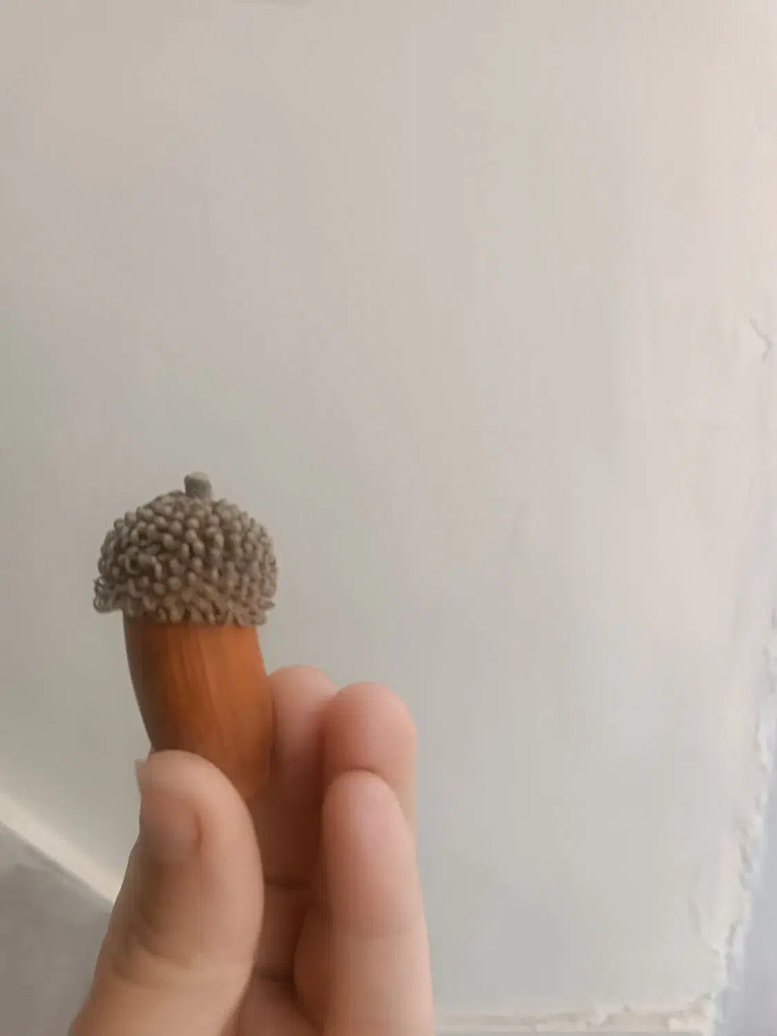 بلوط|گل و گیاه طبیعی|تربت‌حیدریه, شهرک ولیعصر|دیوار