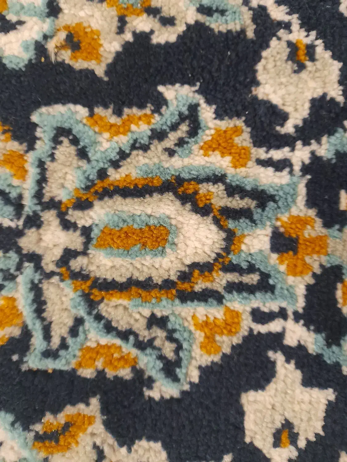 همخونه|اجارهٔ آپارتمان|بیرجند, |دیوار