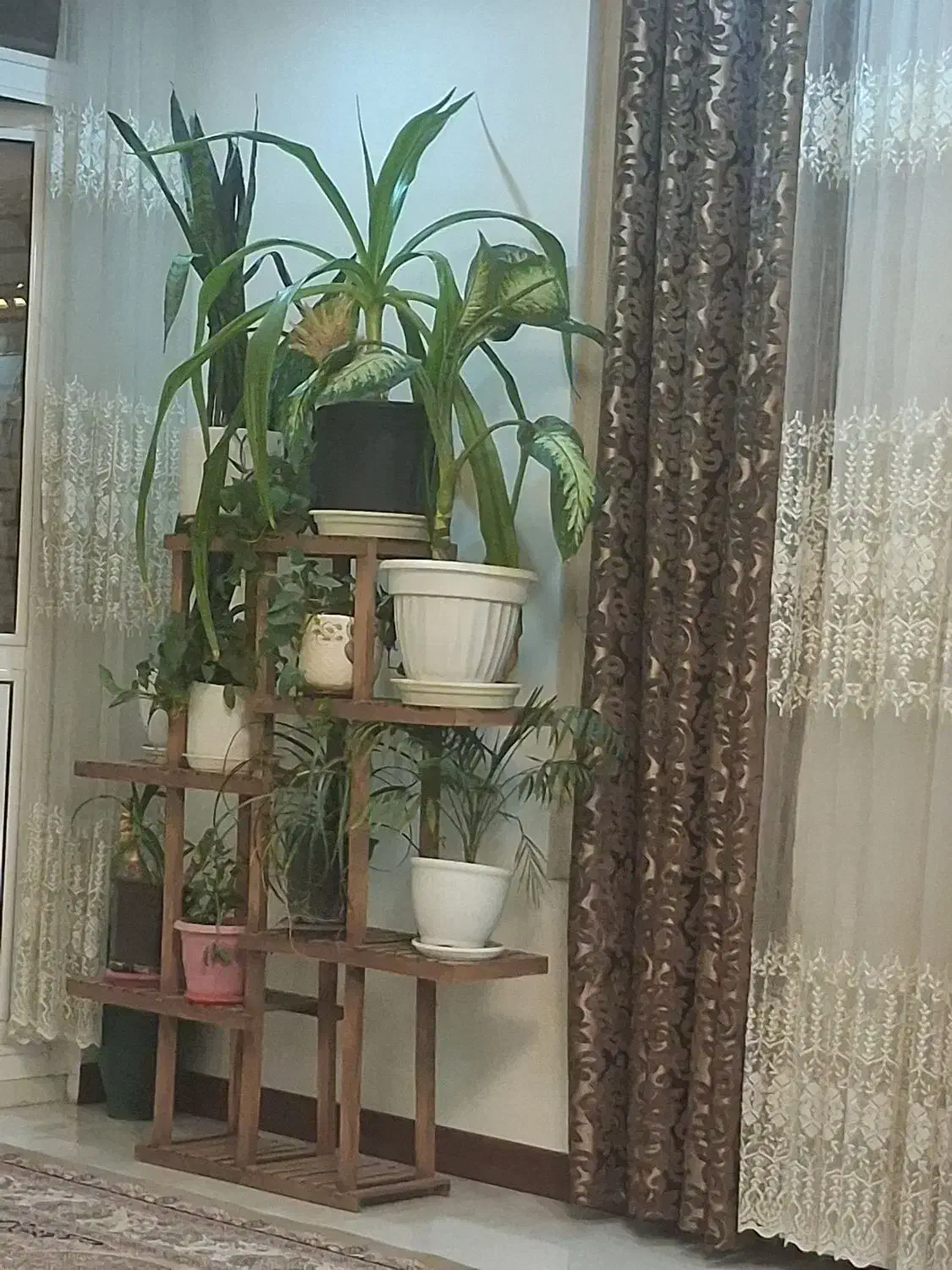 استند گل با گل|گل و گیاه طبیعی|اصفهان, جلالیه|دیوار