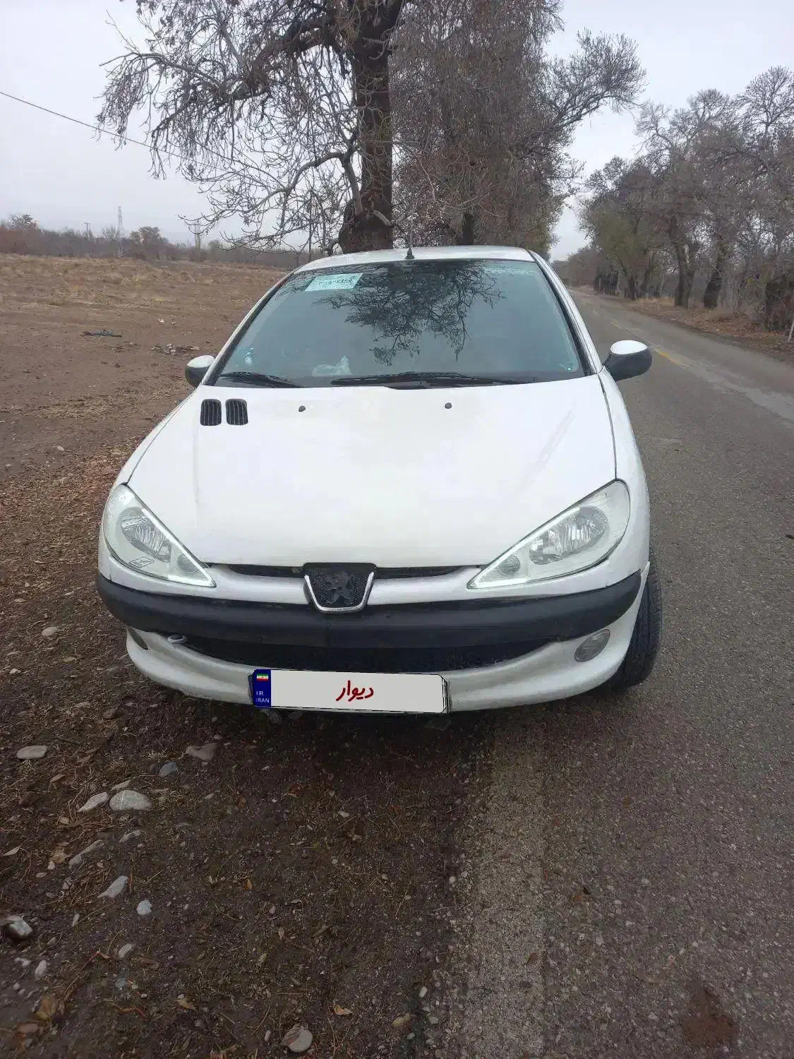 پژو۲۰۶sd صندوقدار  سالم وخوشگل|خودرو سواری و وانت|نیشابور, مدرس|دیوار