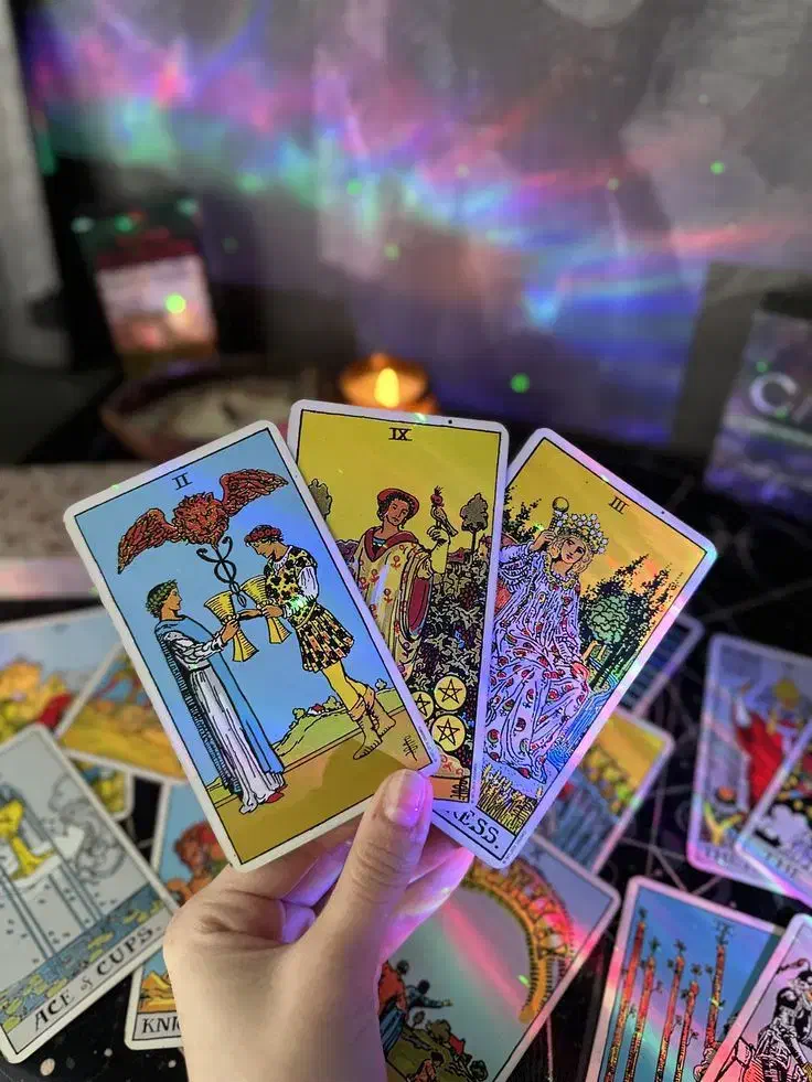 تاروت|فعالیت داوطلبانه|بابل, |دیوار