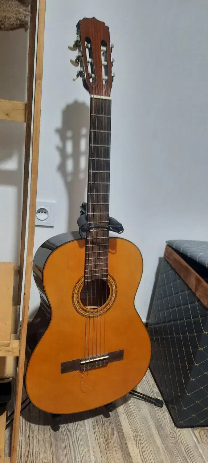 گیتار|گیتار، بیس، امپلیفایر|کلاردشت, |دیوار