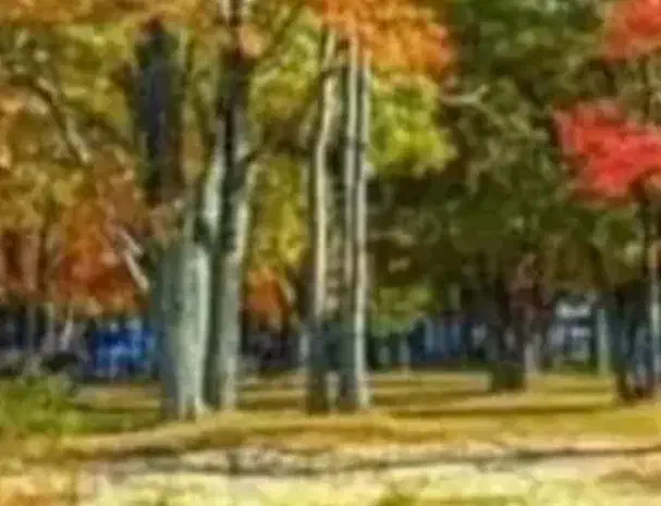 راهنمایی|فعالیت داوطلبانه|سبزوار, ولیعصر (نجار آباد)|دیوار