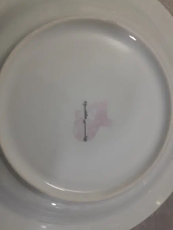 چینی مقصود|ظروف سرو و پذیرایی|ملایر, |دیوار