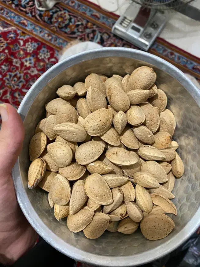 بادام تلخ و شیرین پوست کاغذی|خوردنی و آشامیدنی|شیراز, انجیر|دیوار