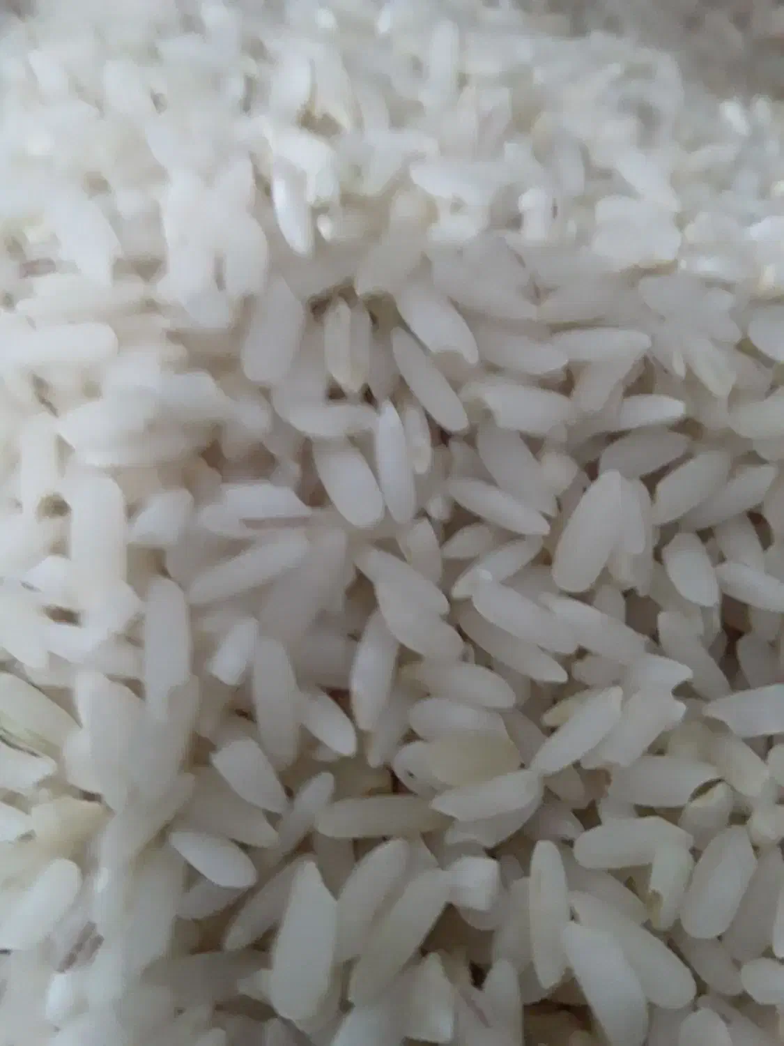 برنج عنبر بو دیره درجه یک|خوردنی و آشامیدنی|گیلان غرب, |دیوار