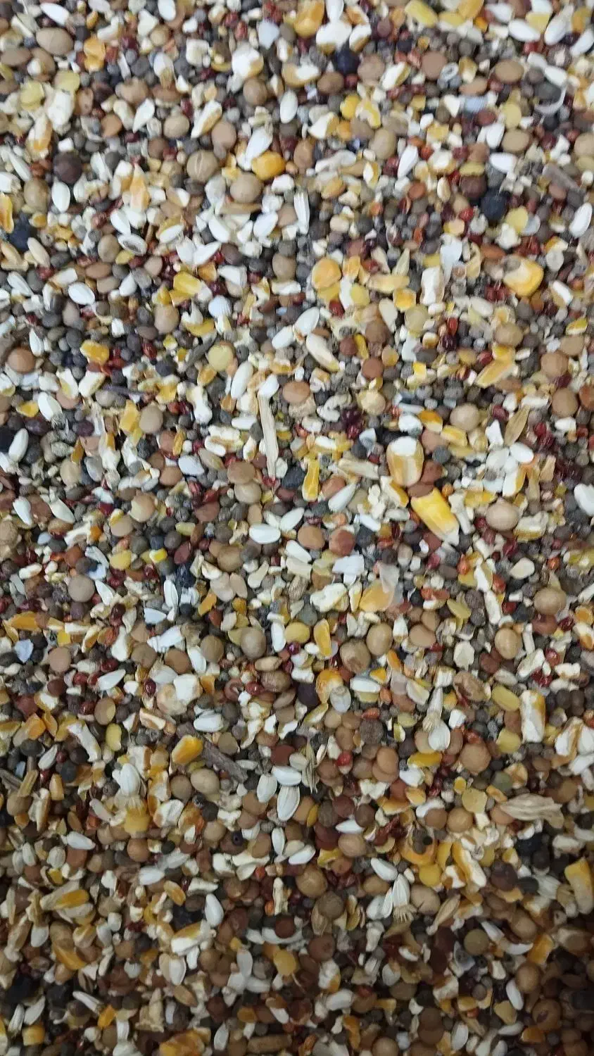 بورس خوراک پرندگان ( گل دانه)|لوازم جانبی حیوانات|قم, فرهنگیان و شهربانی|دیوار