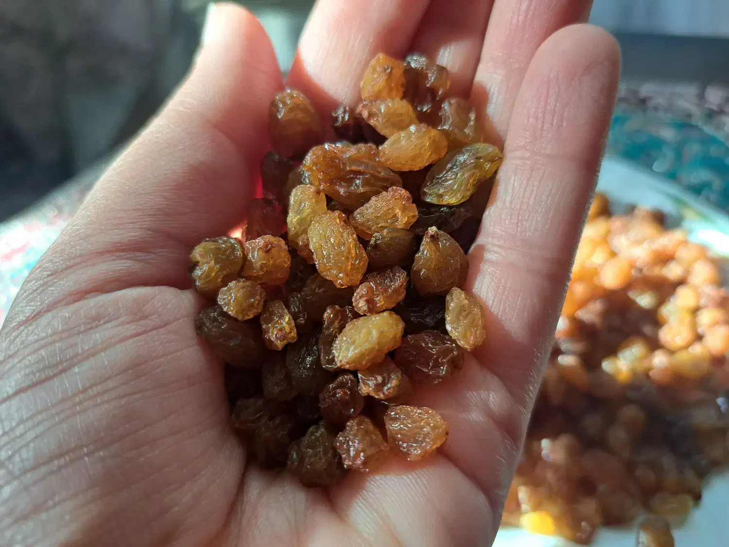 کشمش قوچان|خوردنی و آشامیدنی|مشهد, ایثارگران|دیوار