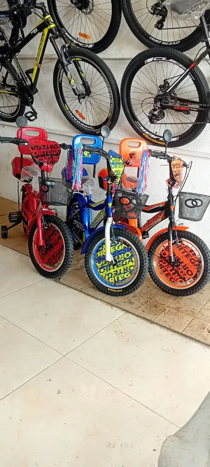 اورتگا‌بچه‌گانه|دوچرخه، اسکیت، اسکوتر|گنبد کاووس, |دیوار