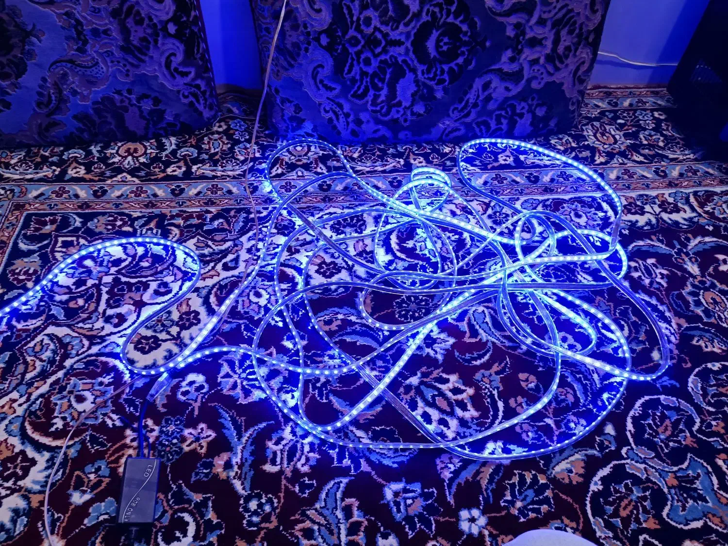 ال ای دی شلنگی کنترلی|ریسه و چراغ تزئینی|قم, چهل درخت‎|دیوار