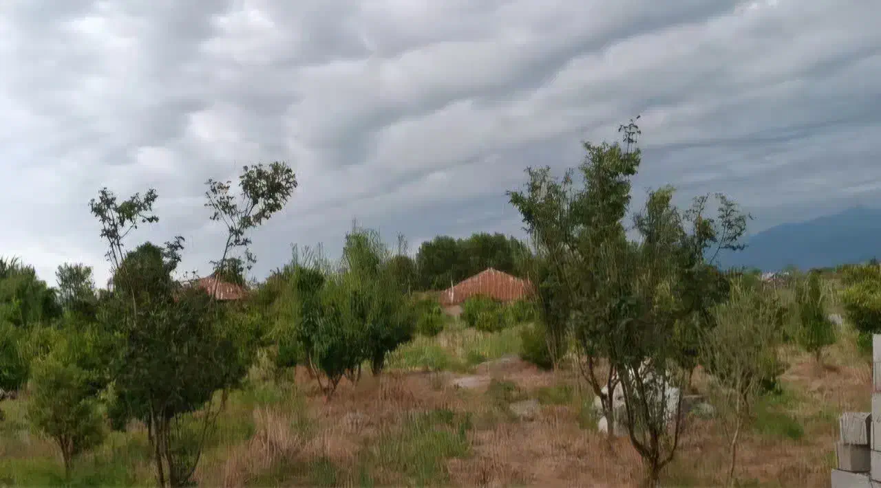 فروش 312 زمین تخفیف بلک فرایدی|فروش زمین و ملک کلنگی|املش, |دیوار