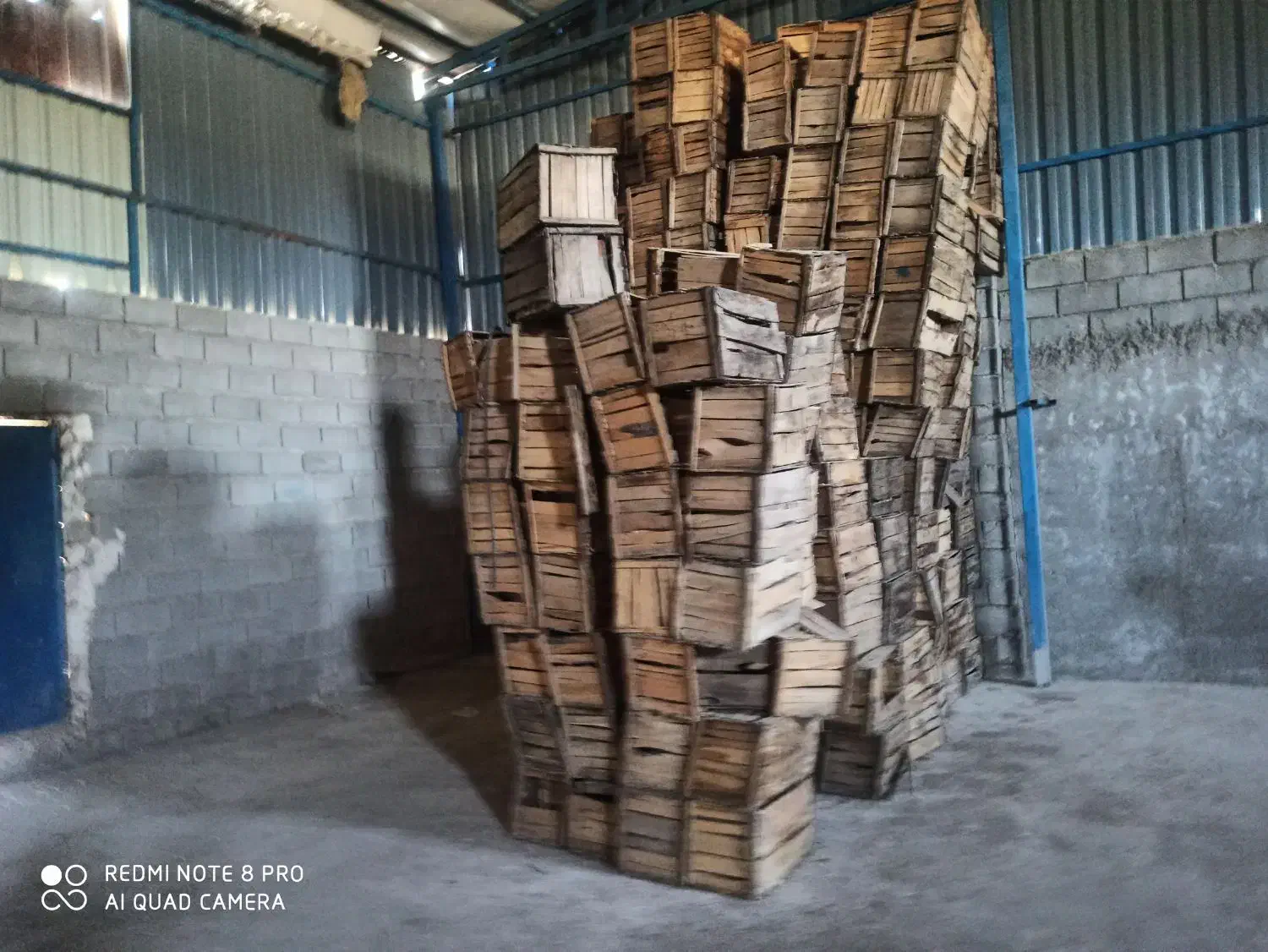 سبد چوبی مخصوص میوه|عمدهفروشی|جهرم, |دیوار