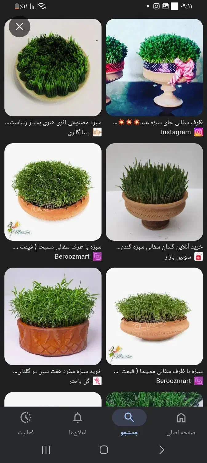 جاسبزه|گل و گیاه طبیعی|بهار, |دیوار