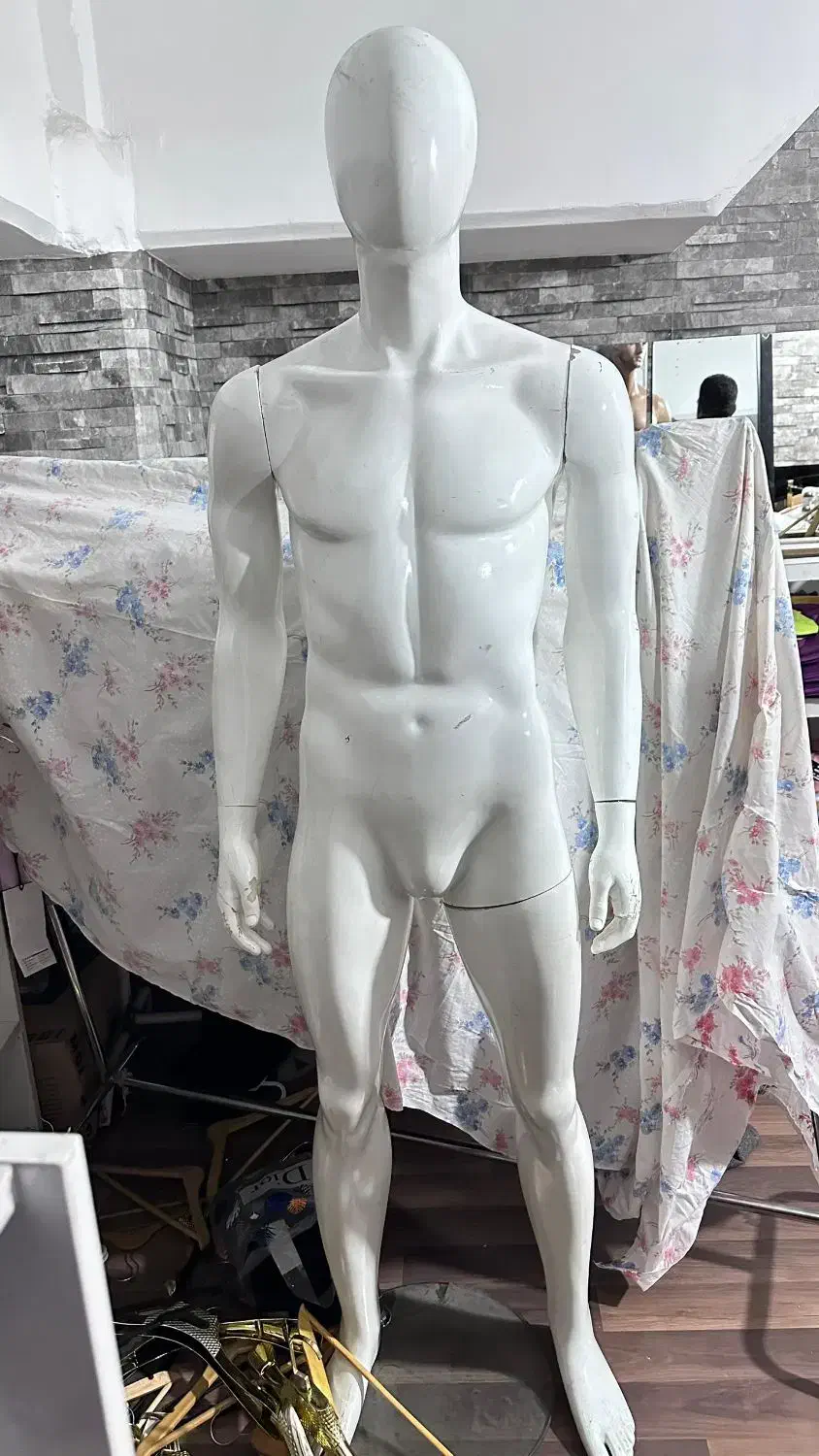 مانکن مردانه|فروشگاه و مغازه|شیراز, شهرک گلستان|دیوار