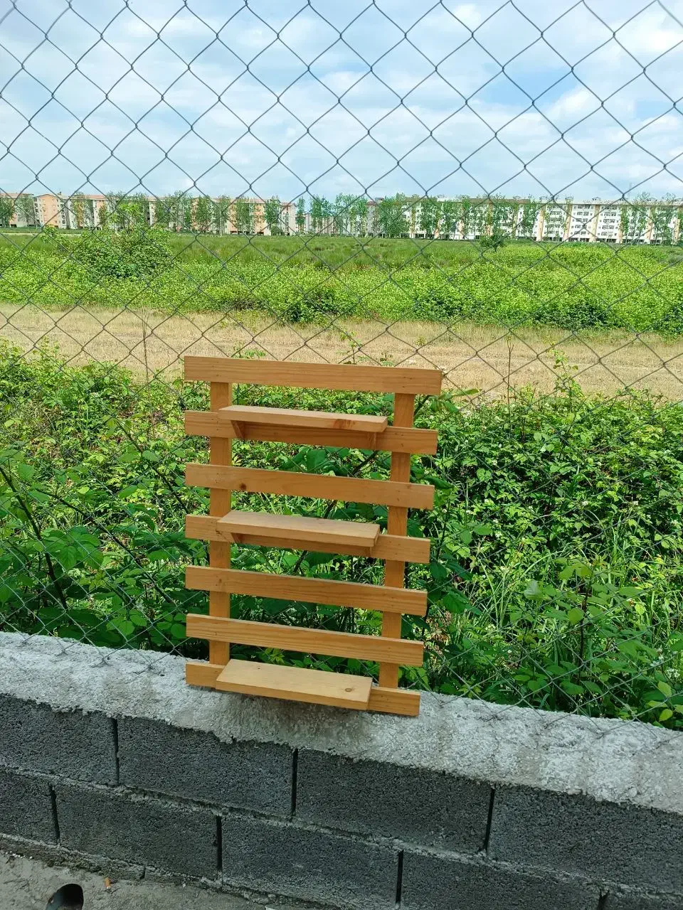 استندهای چوبی آپارتمانی|کتابخانه، شلف، قفسههای دیواری|رشت, کوی مهر|دیوار