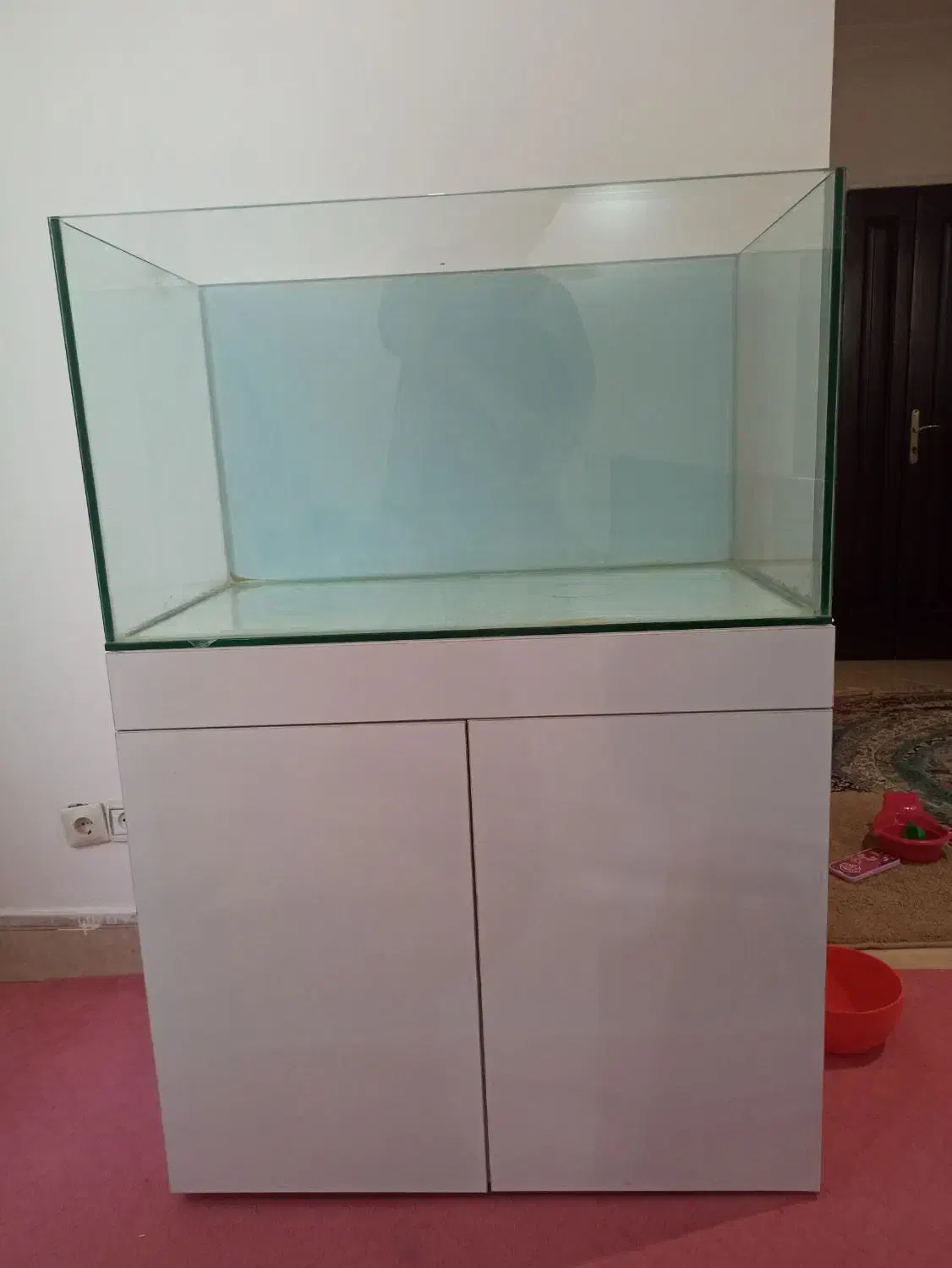 آکواریم ریملس|ماهی|کرج, شاهینویلا|دیوار