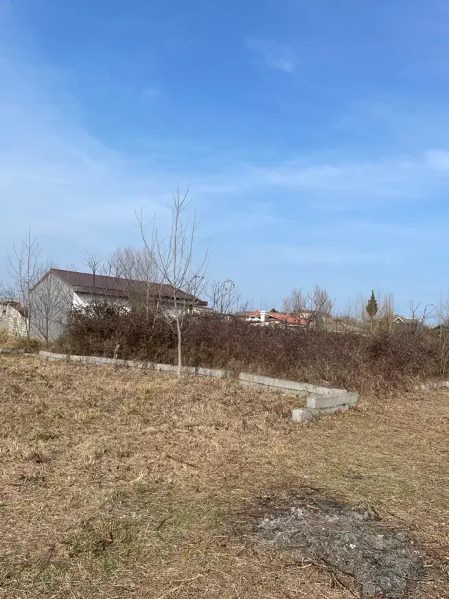 ۲۵۰متر سرمایه گذرای|فروش زمین و ملک کلنگی|کلاچای, |دیوار