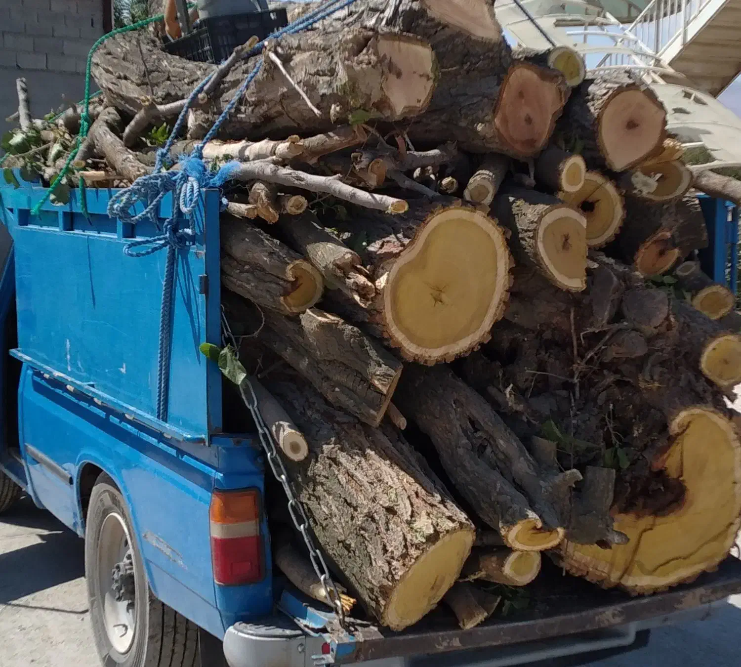 درخت وچوب|فعالیت داوطلبانه تحقیقاتی|شیروان (خراسان), |دیوار