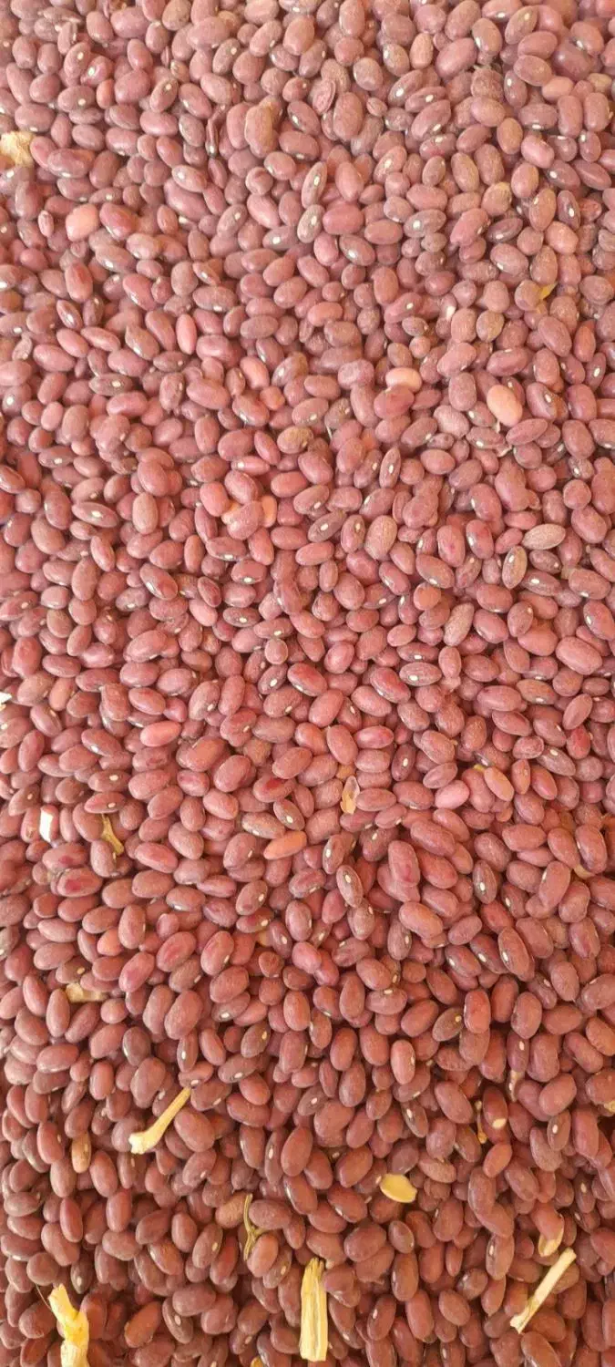 لوبیا قرمز|خوردنی و آشامیدنی|آوج, |دیوار