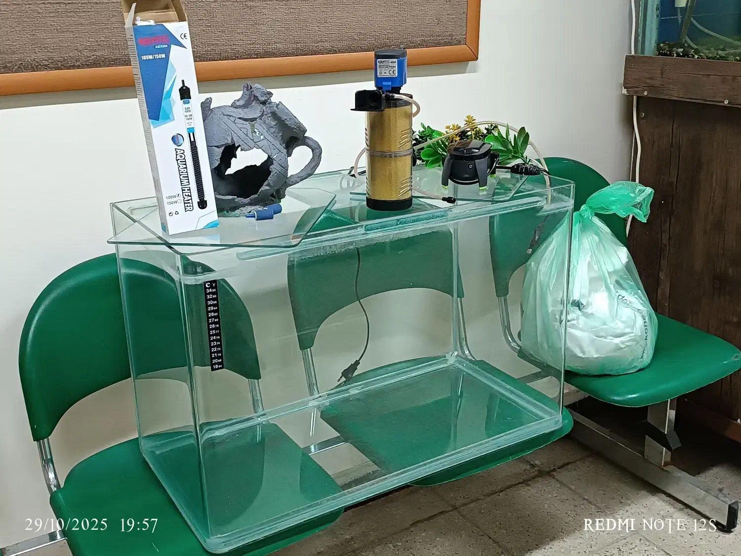 آکواریوم ، ماهی|ماهی|همدان, |دیوار