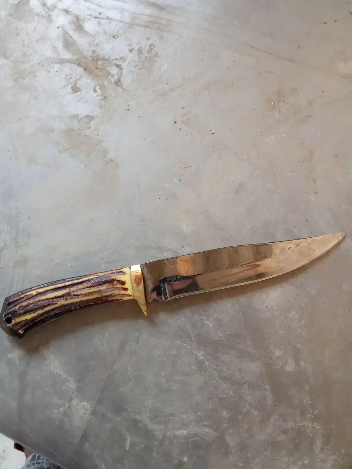 چاقو کمری دسته شاخه فروشی|کوهنوردی و کمپینگ|خان ببین, |دیوار