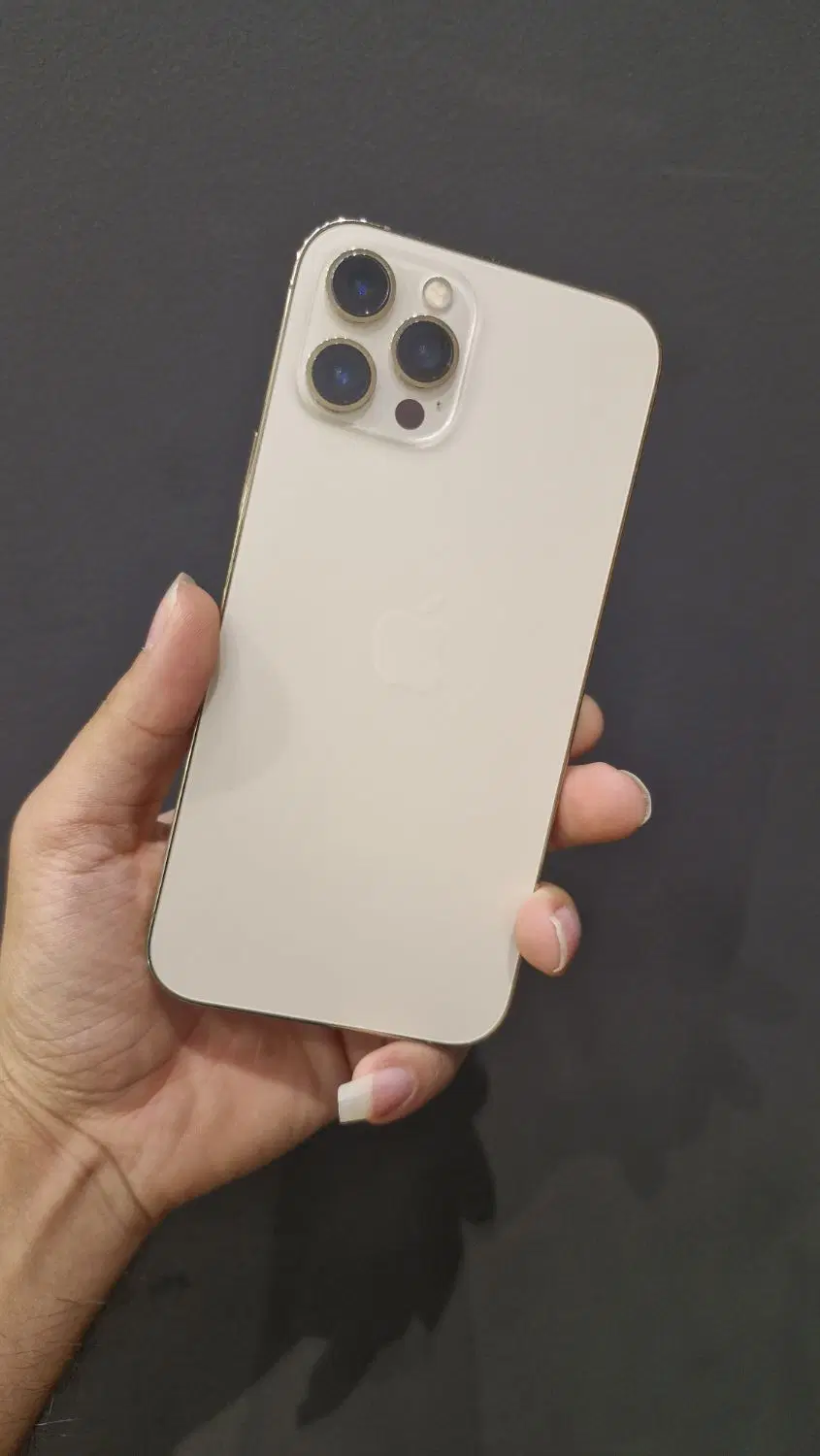 12promax/12pro|موبایل|مشهد, بهشت|دیوار