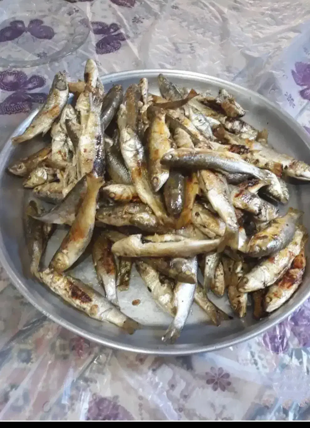 ماهی میگو|خوردنی و آشامیدنی|اصفهان, پوریای ولی|دیوار