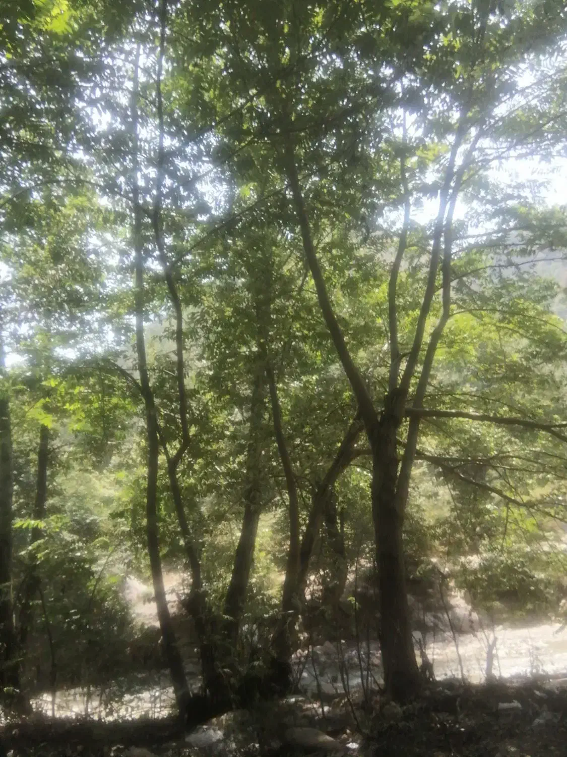 انجام هر گونه کار در منزل|خدمات پیشه و مهارت|گنبد کاووس, |دیوار