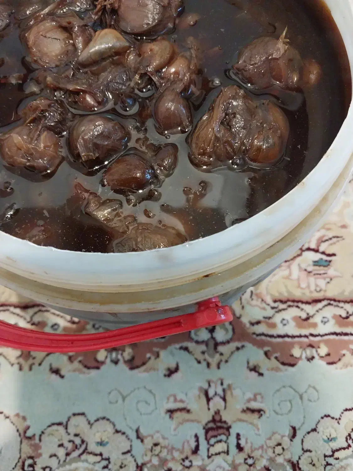 سیرترشی ۷ساله|خوردنی و آشامیدنی|قم, قلعه عموحسین|دیوار