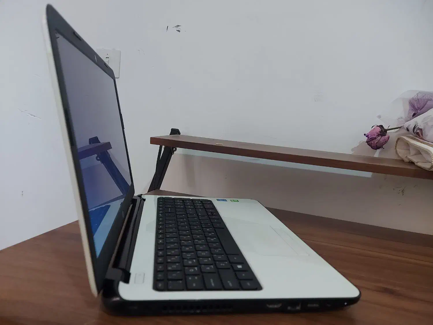 لپ تاپ hp|رایانه همراه|کاکی, |دیوار