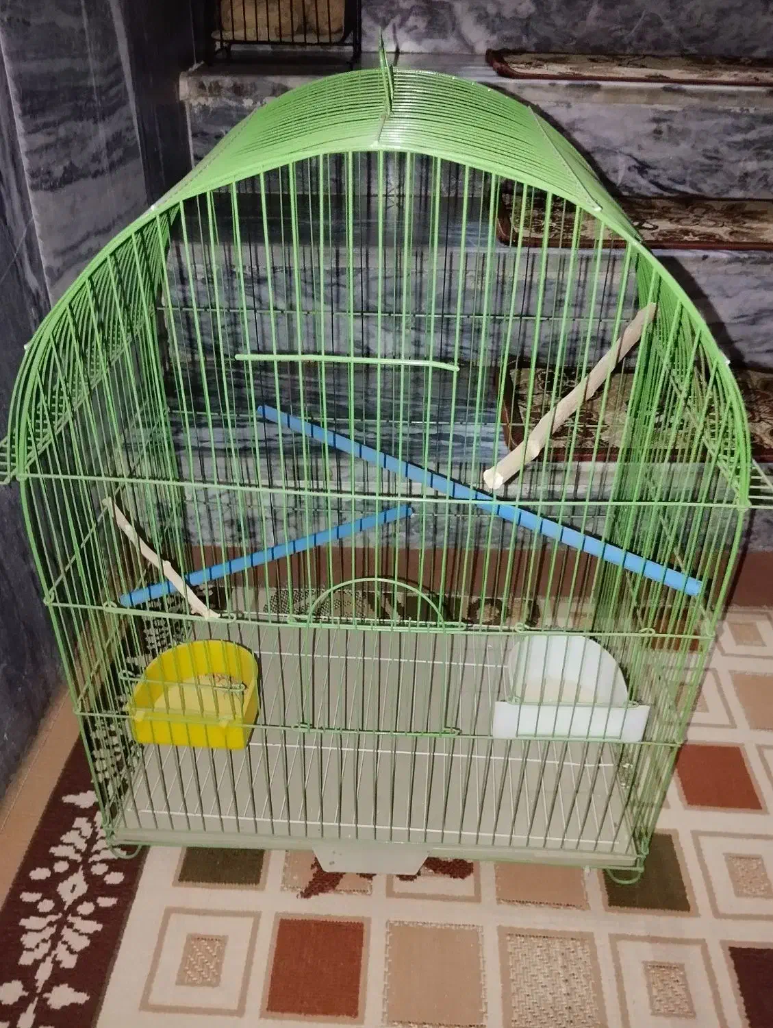 قفس پرنده|لوازم جانبی حیوانات|بروجرد, |دیوار