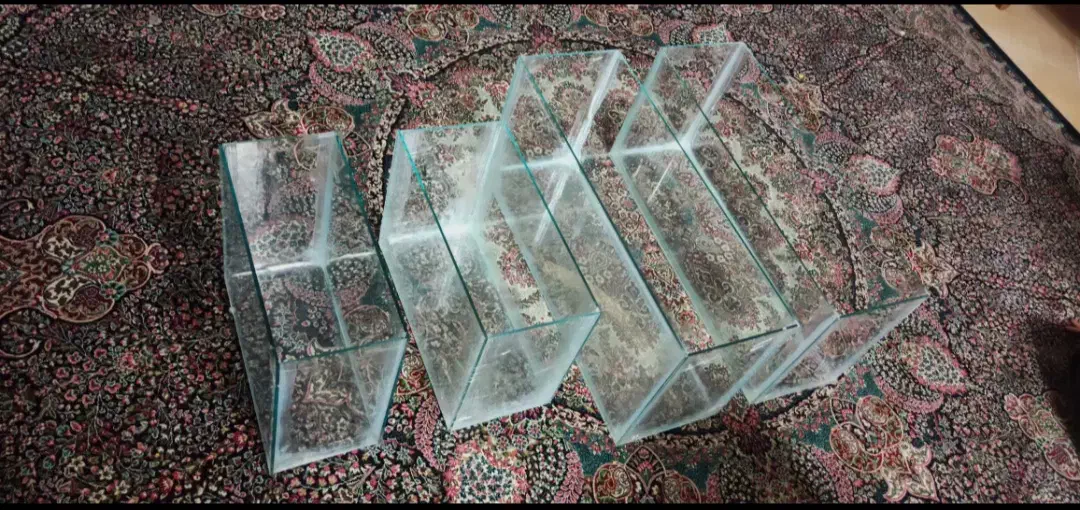 یک عدد آکواریم آماده|ماهی|سیرجان, |دیوار