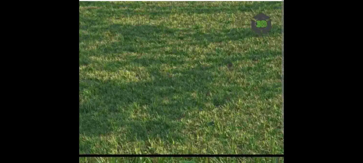 فروش شالی|فروش دفتر صنعتی، کشاورزی، تجاری|خمام, |دیوار