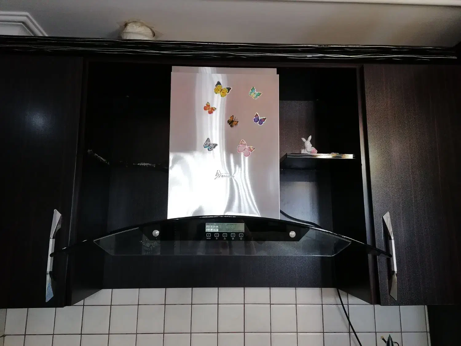 هود اخوان|هود|رشت, دیانتی|دیوار