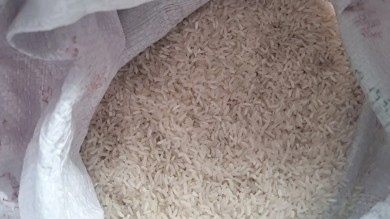 برنج|خوردنی و آشامیدنی|بندر گناوه, |دیوار