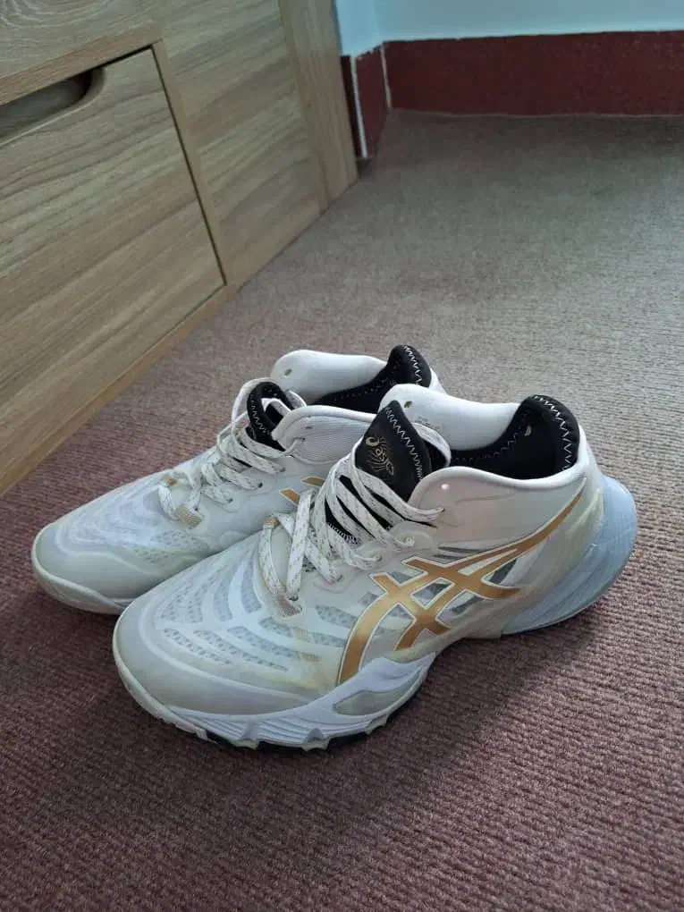 کفش والیبال|کیف، کفش، کمربند|بندر ترکمن, |دیوار