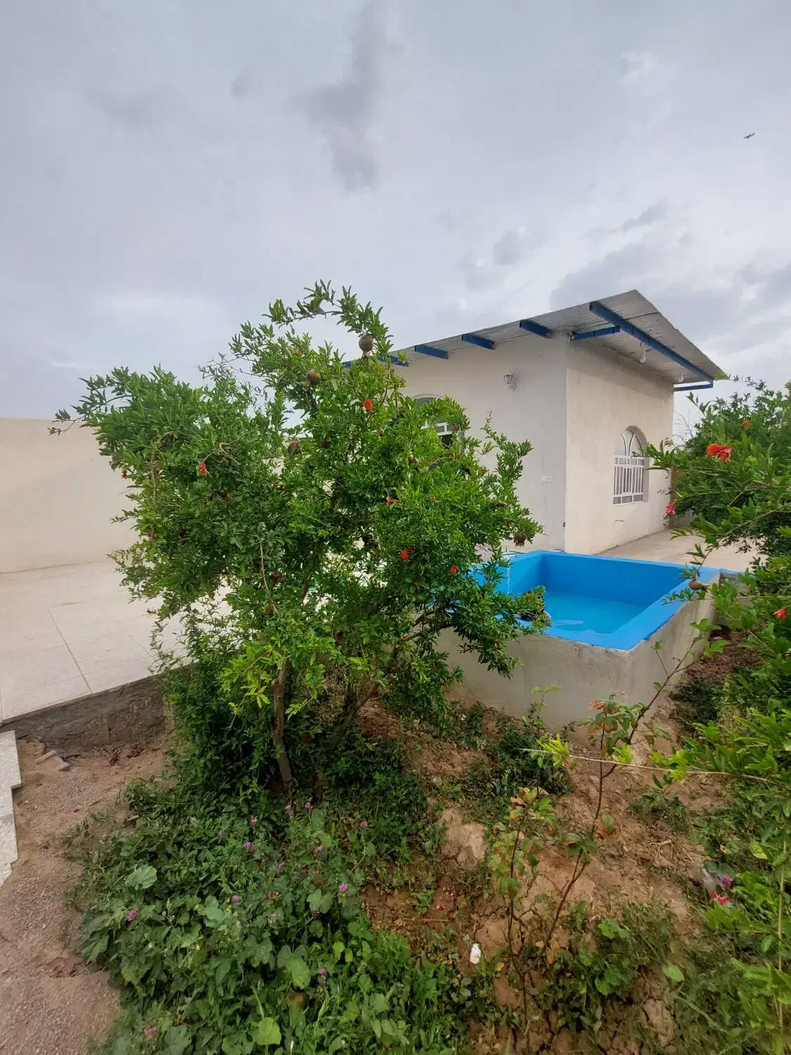 ویلاباغ 800 متری شرف آباد|فروش خانه و ویلا|میبد, |دیوار