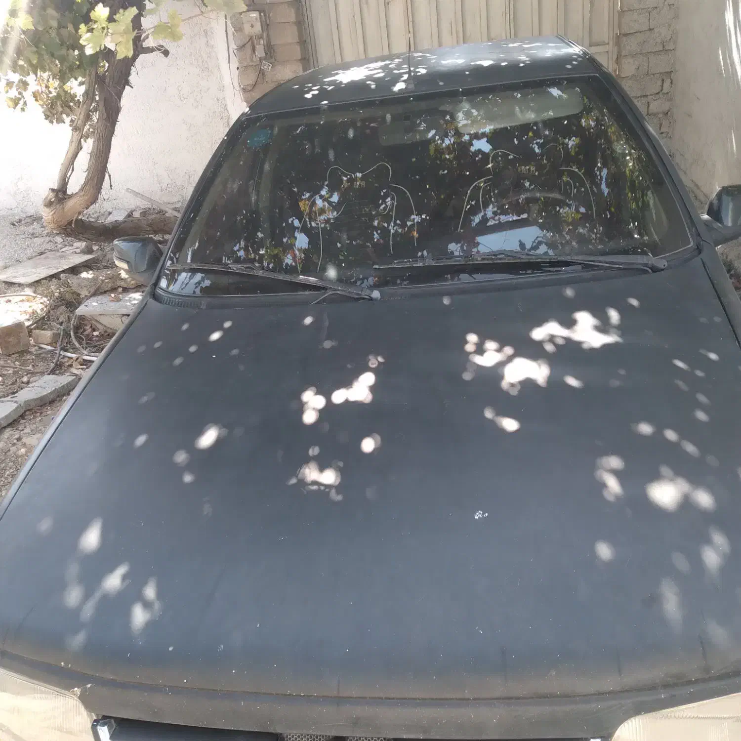 پژو ۴۰۵ مدل ۸۱|خودرو سواری و وانت|فیروزآباد (فارس), |دیوار