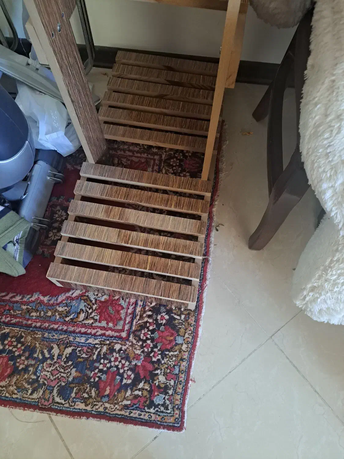 پایه گلدان|گل و گیاه طبیعی|کرمان, |دیوار