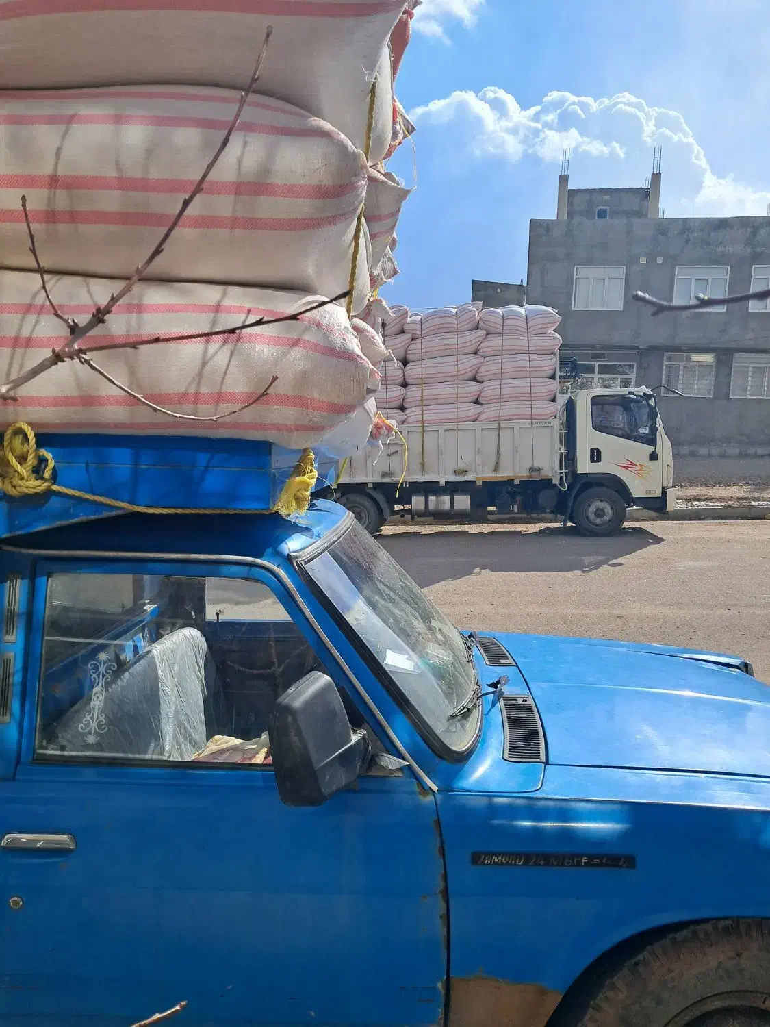 خوراک دام.فروشکاه.یونجه.گندم.جو|حراج|تالش, هشتپر|دیوار