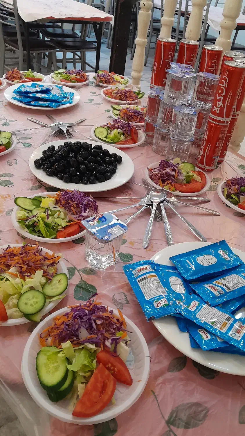 کاروان علم سبز|تور و چارتر|بم, |دیوار