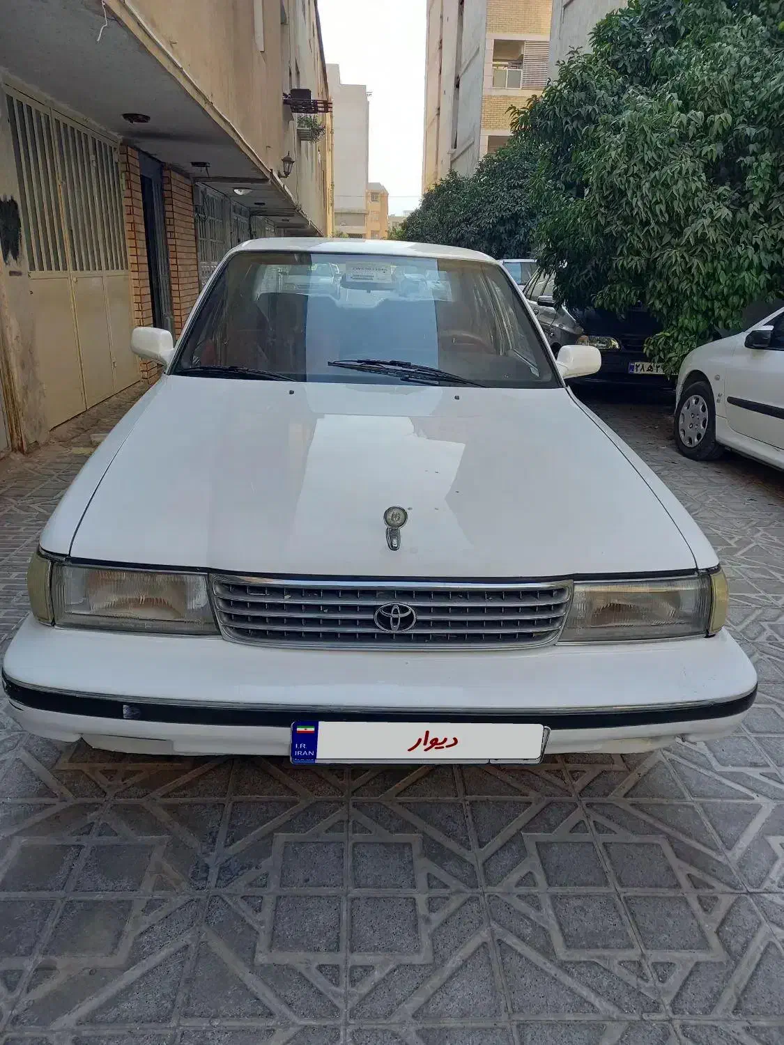 فروش کلاسیک|خودرو کلاسیک|شیراز, چوگیاه‎|دیوار
