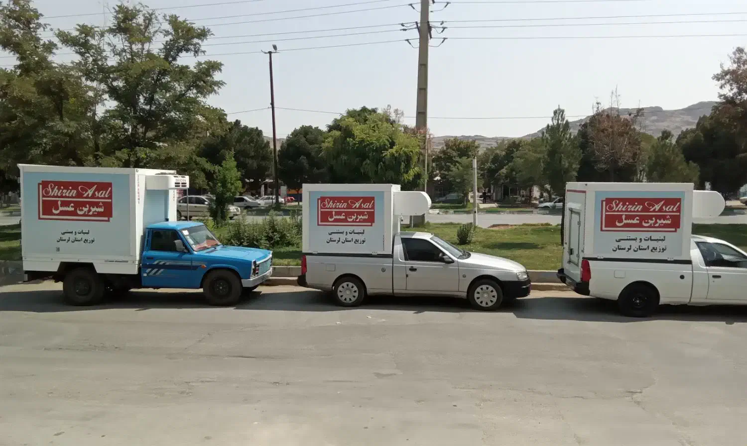 بازرگانی پخش شیرین عسل|استخدام بازاریابی و فروش|دورود, |دیوار