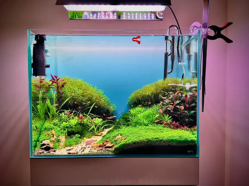 آکواریم پلنت (گیاهی) لوکس با نور و سیستم هوشمند|ماهی|کیش, |دیوار