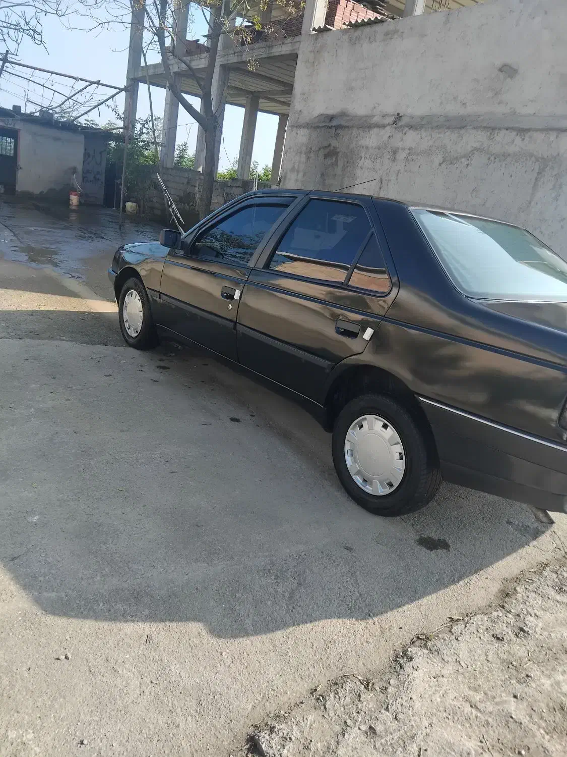 سواری مدل ۸۳ شاسی ها پلمپ فنی به شرط|خودرو سواری و وانت|آستارا, |دیوار