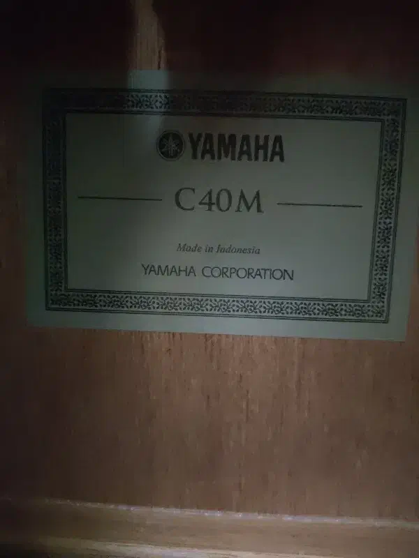 گیتار یاماها c40m|گیتار، بیس، امپلیفایر|مشهد, ولیعصر (شهرک غرب)|دیوار