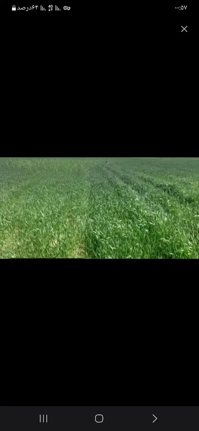 زمین مزروعی|فروش زمین و ملک کلنگی|قشلاق دشت, |دیوار