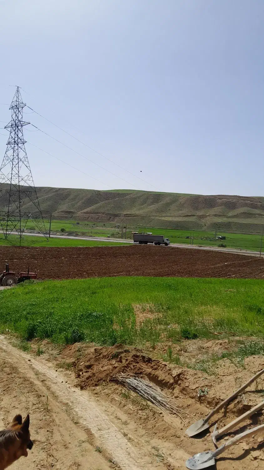 یک هکتار زمین رو جاده اصلی دیواندره|فروش دفتر صنعتی، کشاورزی، تجاری|دیواندره, |دیوار