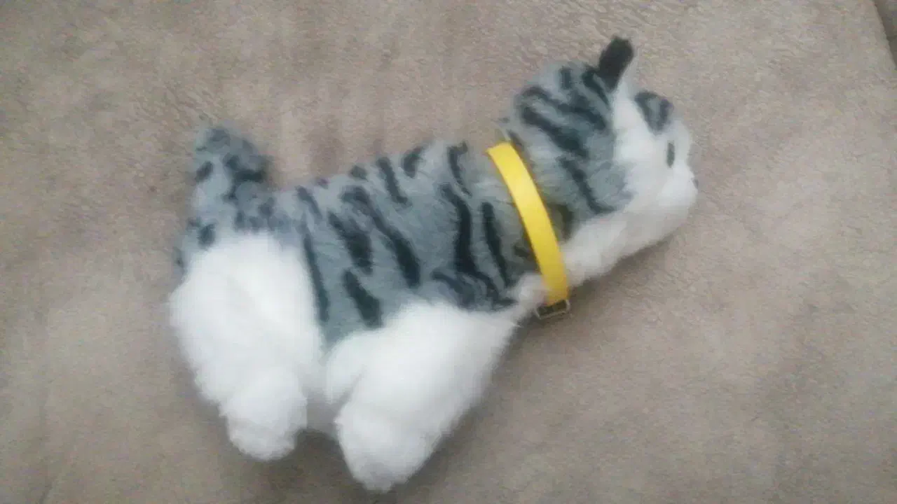 عروسک گربه موزیکال و متحرک|اسباب‌بازی بچه|یزد, |دیوار