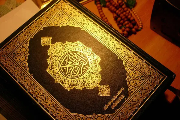 تاروتو پودر قهوه شمع/آینه بینی/تظمینی/ارمنی/ارزونی|خدمات زیبایی و سلامت|تهران, تجریش|دیوار